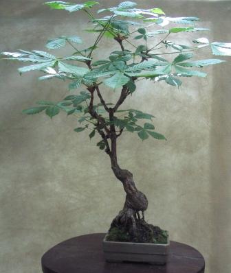 09_06_ÂŁĂłdÂź 031a.jpg