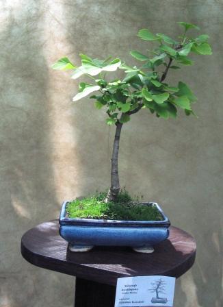 09_06_ÂŁĂłdÂź 012a.jpg