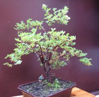 a18_06 067_ok_bok.jpg