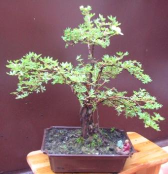 a18_06 073_Ok_dobry_zaczÂątek.jpg