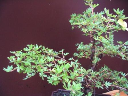 a18_06 060_ok_chmurki.jpg