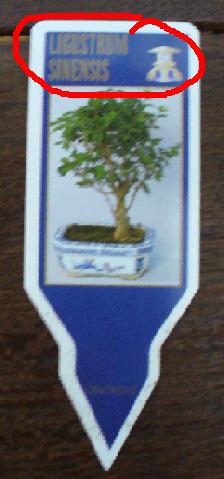 widzisz taka karteczkĂŞ tam masz i tam jest napisane