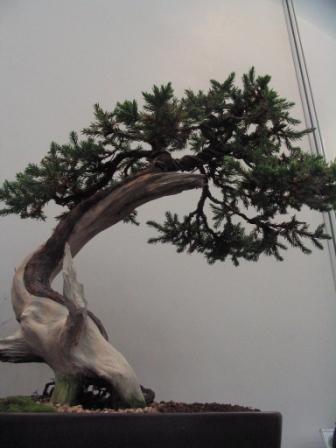 sierp_25 Expo 15.jpg