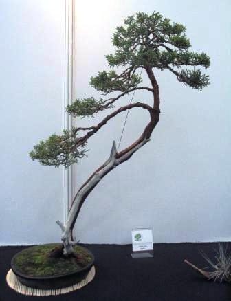 sierp_25 Expo 24.jpg