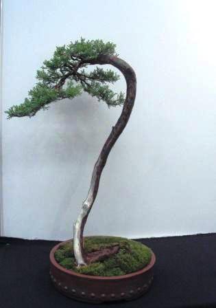 sierp_25 Expo 25.jpg