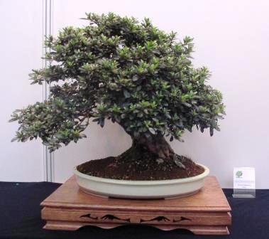 sierp_25 Expo 26.jpg