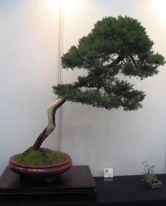 sierp_25 Expo 28.jpg