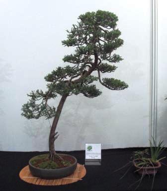 sierp_25 Expo 21.jpg