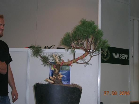 Pierwszy odpoczynek :]