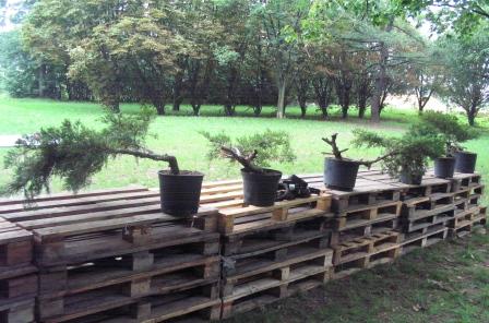 03 sierp_19 005 MateriaÂł do wyboru.jpg