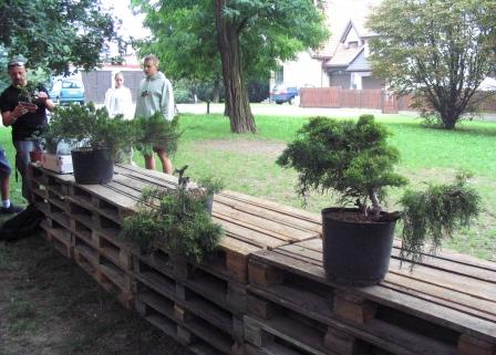 04 sierp_19 006b.jpg