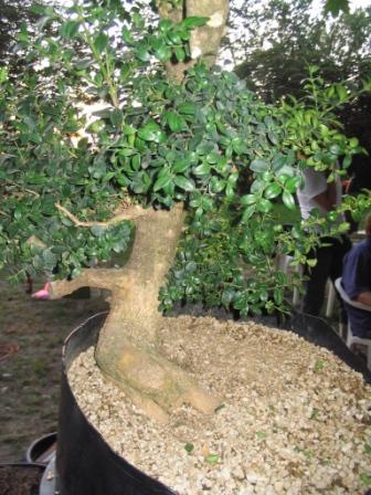 19 sierp_19 013b.jpg