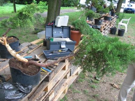 14 Klamoty przerwa - jedzenie.jpg