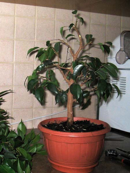 Efekt koĂącowy. teraz znowu na kilka miesiĂŞcy w &quot;odstawkĂŞ&quot;.