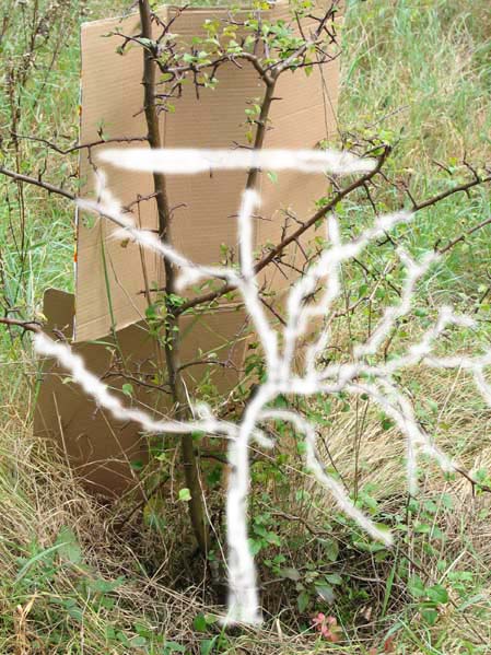 jabÂłoĂą virtu.jpg