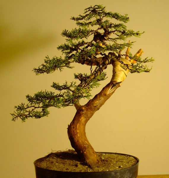 Po wstĂŞpnym formowaniu