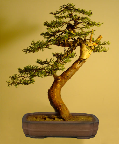 przymiarka kopia2.jpg