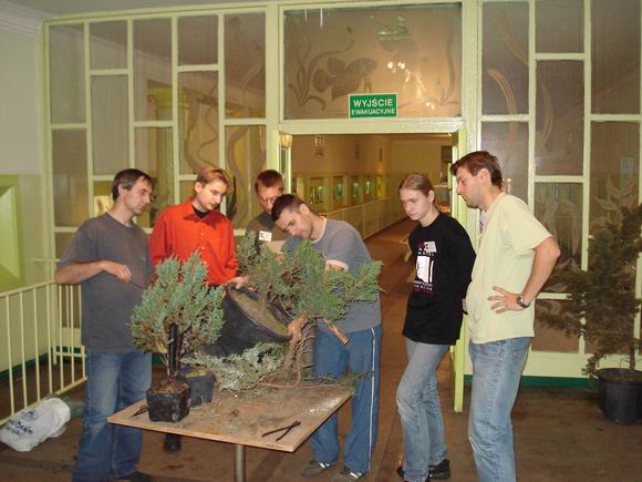 Tomek omawia swoje drzewko.