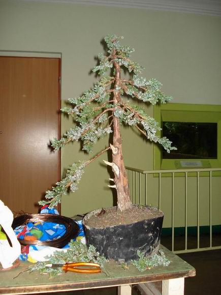 &quot;StrzaÂła&quot; z bliska.