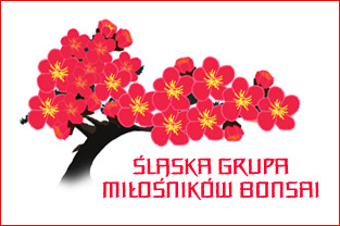 logo2.jpg