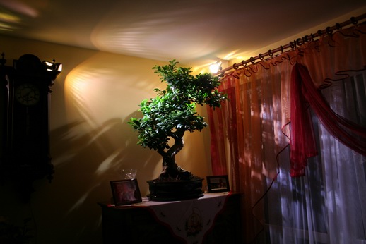 Resize of IMG_3385.JPG