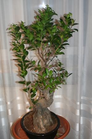 widok z drugiego "boku"