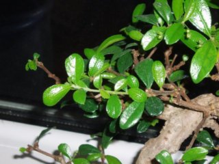 to jest ten pĂŞd o ktĂłry pytaÂłem