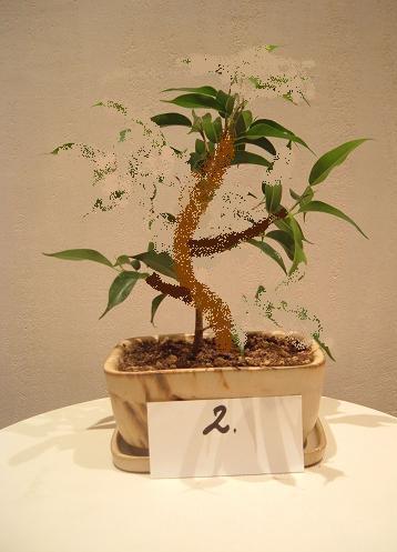 Mniejsze drzewko i moja propozycja zmian, czyli "jak ja to widze" :)