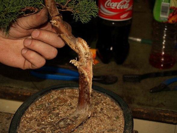 ...efekty pracy chyba Bolasa zadowoliÂły...