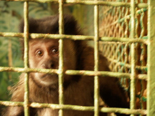 publicznoÂśĂŚ teÂż nie mogÂła wyjÂśĂŚ z podziwu.