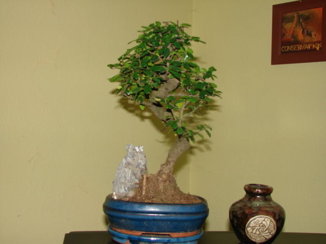 to jest chyba front :)