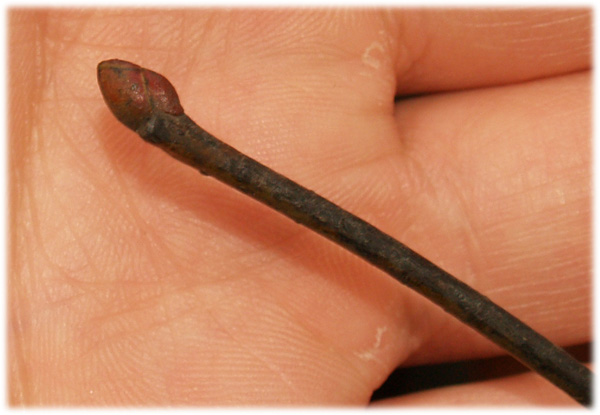 paczek widoczny jak na dÂłoni