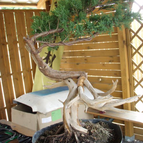 Podczas drutowania.(DziĂŞki za . Marta ;-) )