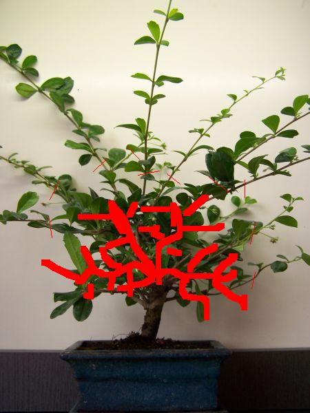 tak mniej wiecej,powinno to wygladac za kilka lat