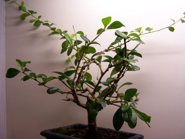 po zdjĂŞcie drugie