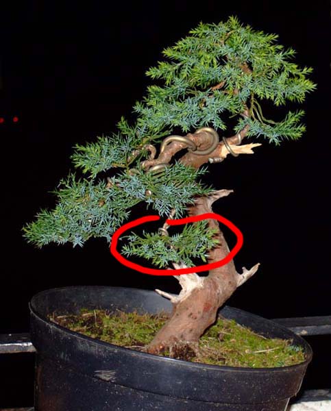 wrzesieĂą2 2007 forum1.jpg