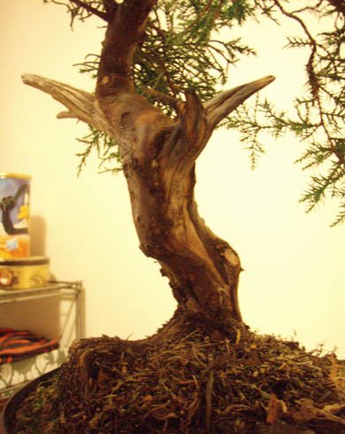 front przed giĂŞciem