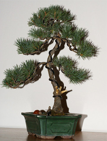 dzisiaj uformowane, mniej wiecej to co chciaÂłem osiÂągnÂąĂŚ