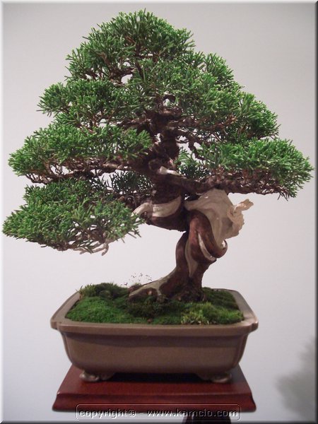 CIMG2327.JPG