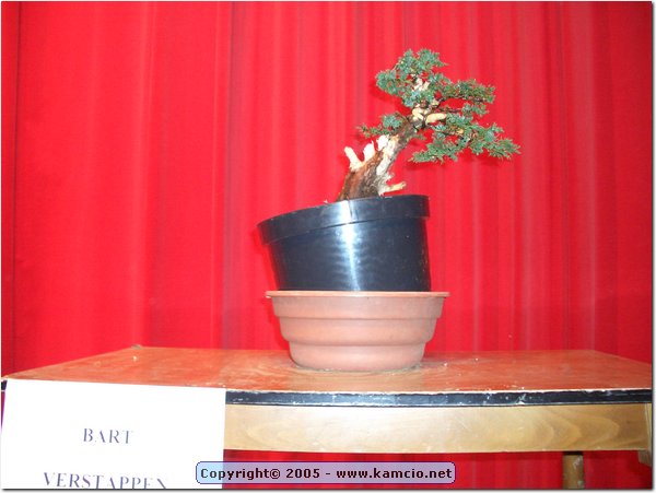 CIMG1410.JPG