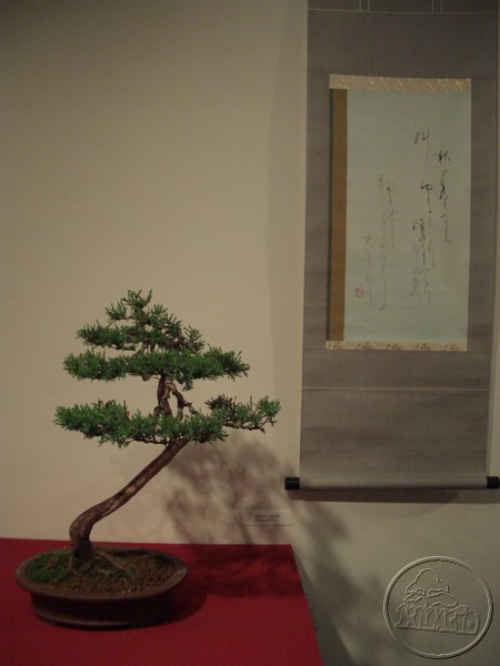 CIMG2104.JPG