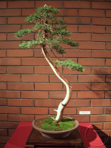 CIMG2105.JPG