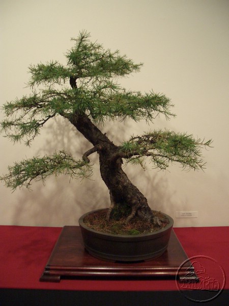 CIMG2106.JPG