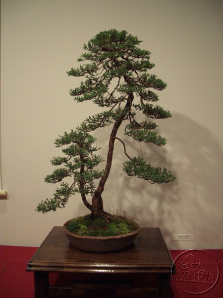 CIMG2111.JPG