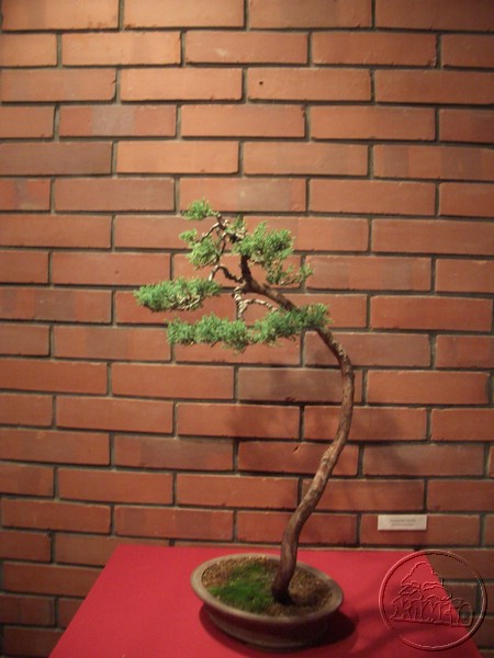 CIMG2122.JPG